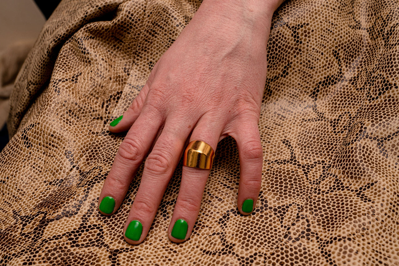 Anneau d'articulation